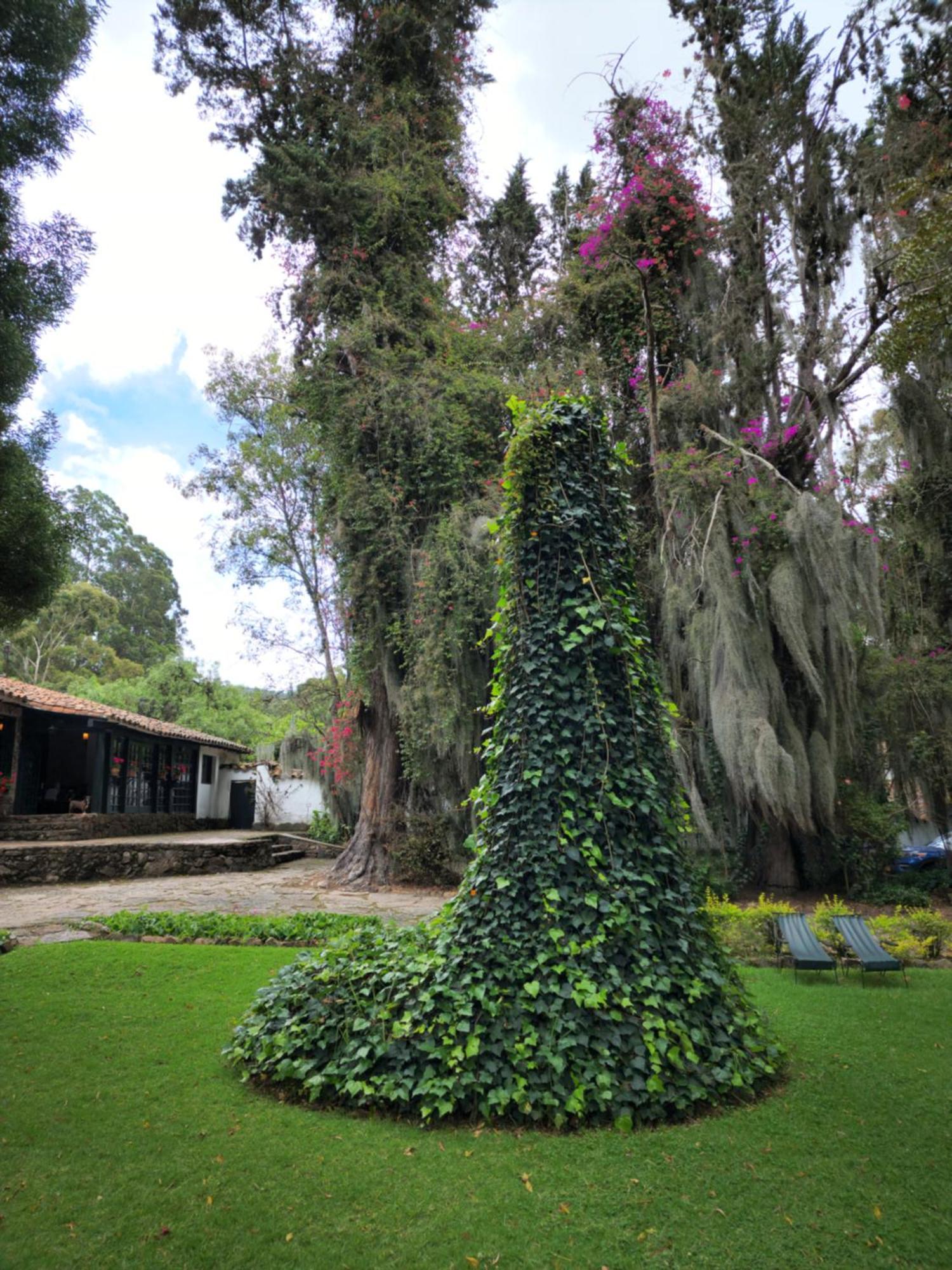 Hacienda Suescun - 300 Anos De Historia Tibasosa