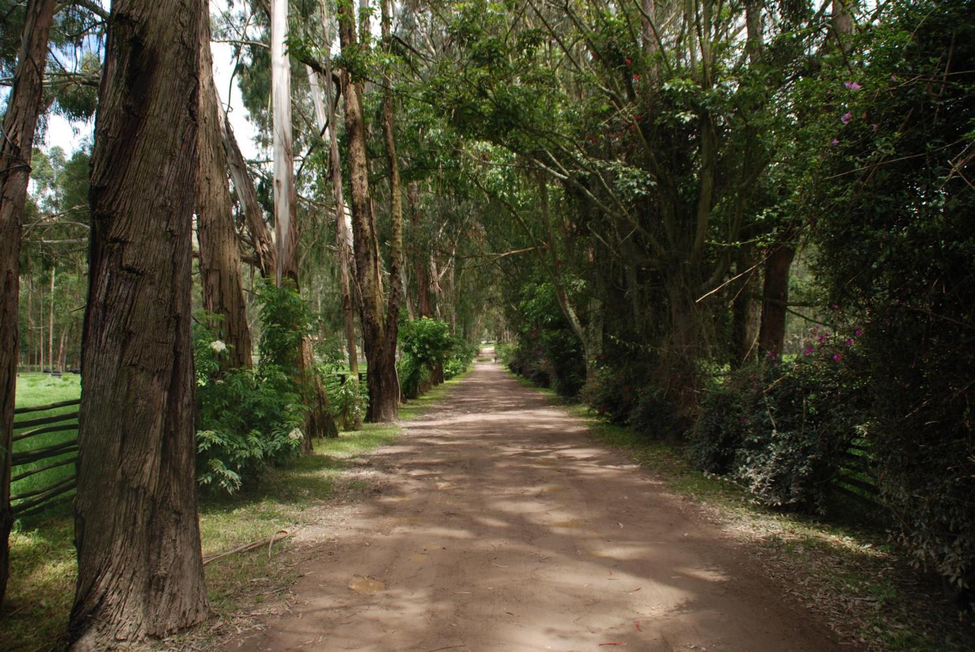 Hacienda Suescun - 300 Anos De Historia 3*